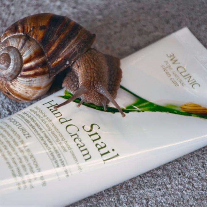 [3W CLINIC] MOISTURIZING SNAIL HAND CREAM